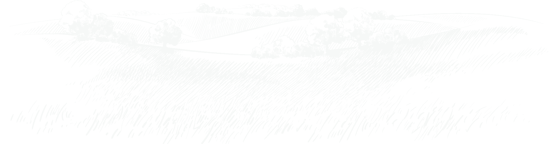 4K+ - 乐鱼