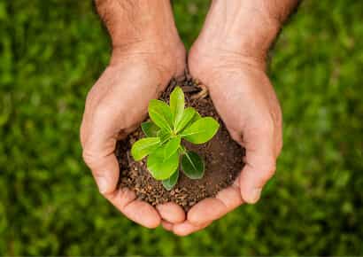 Organic Farming Solutions - 乐鱼