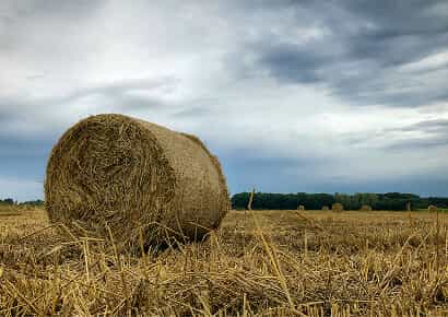 Organic Farming Solutions - 乐鱼