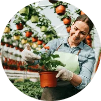 Organic Farming - 乐鱼